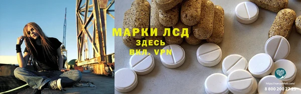 индика Арсеньев