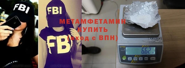 индика Арсеньев