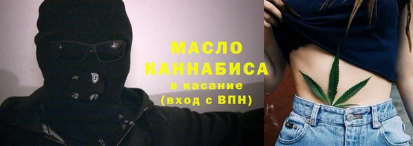 индика Арсеньев