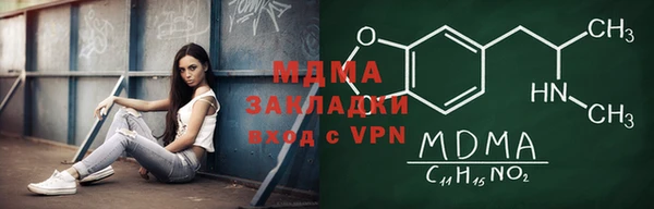 индика Арсеньев