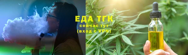 индика Арсеньев