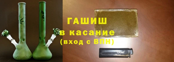 индика Арсеньев