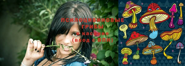 гашиш Аркадак