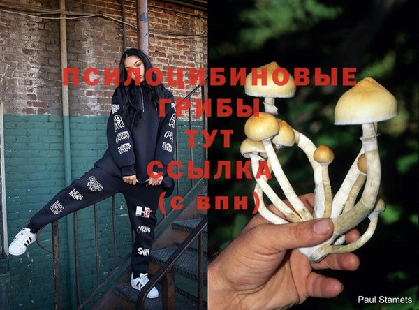 гашиш Аркадак