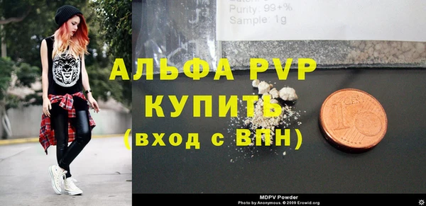 индика Арсеньев