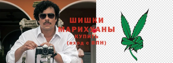 индика Арсеньев