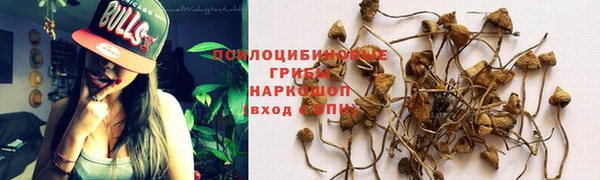 гашиш Аркадак