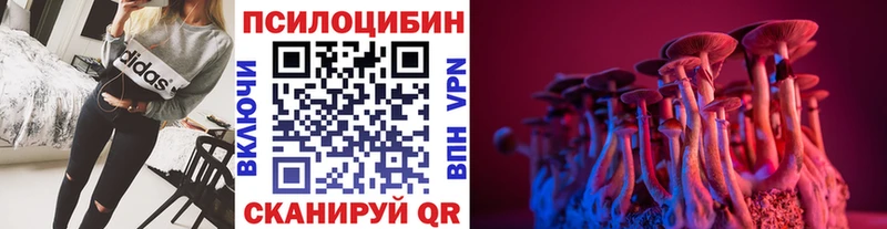 Псилоцибиновые грибы GOLDEN TEACHER  Белорецк 