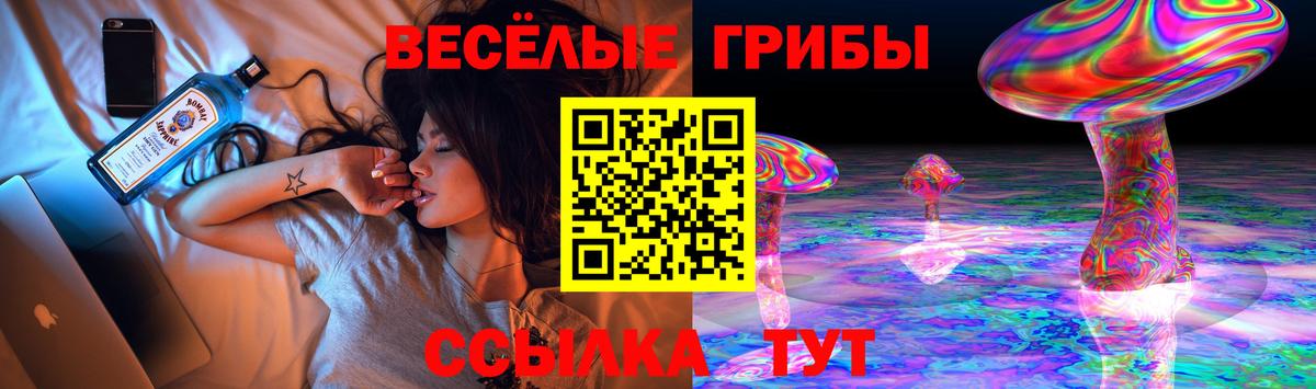 Белорецк  Галлюциногенные грибы Psilocybine cubensis  Вход с VPN 
